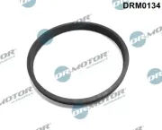 Dichtung, Drosselklappenstutzen Dr.Motor Automotive DRM0134