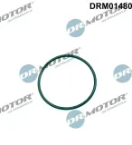 Dichtung, Einspritzpumpe Dr.Motor Automotive DRM01480