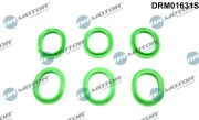 Dichtungssatz, Ansaugkrümmer Dr.Motor Automotive DRM01631S