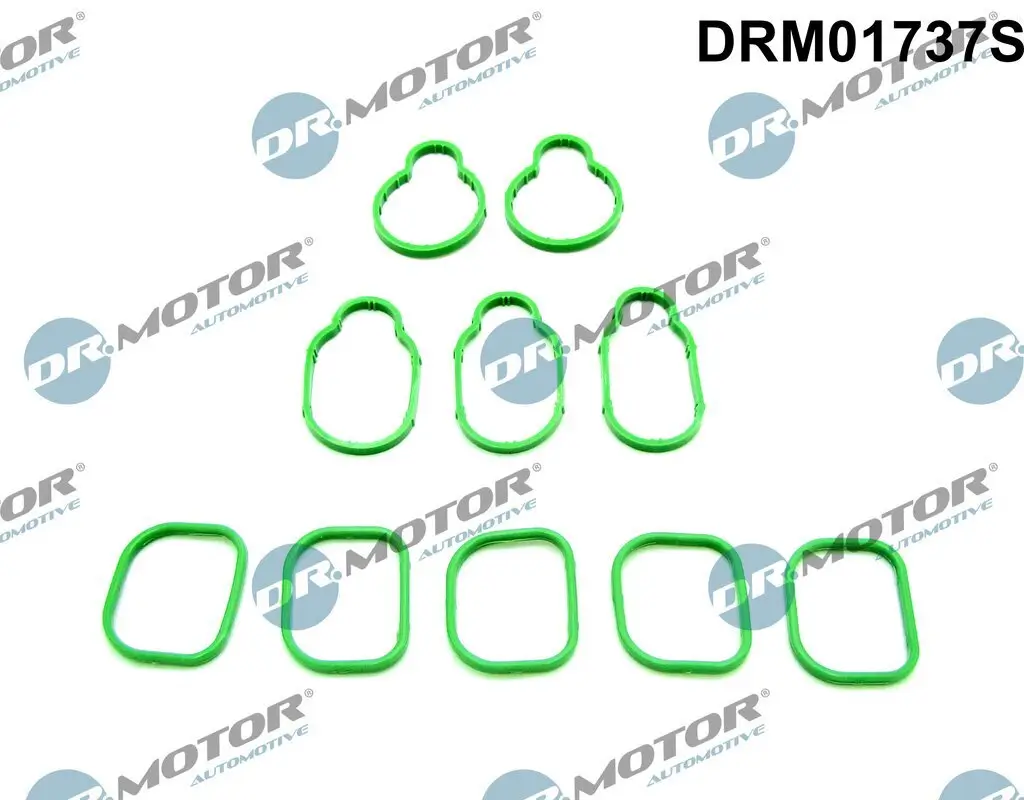 Dichtungssatz, Ansaugkrümmer Dr.Motor Automotive DRM01737S