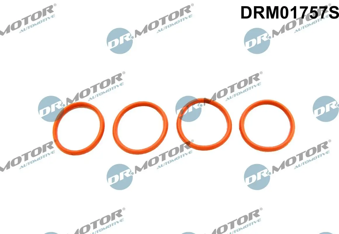 Dichtungssatz, Ansaugkrümmer Dr.Motor Automotive DRM01757S