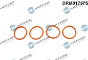 Dichtungssatz, Ansaugkrümmer Dr.Motor Automotive DRM01757S