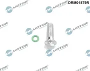 Reparatursatz, Ölpumpe Dr.Motor Automotive DRM01879R