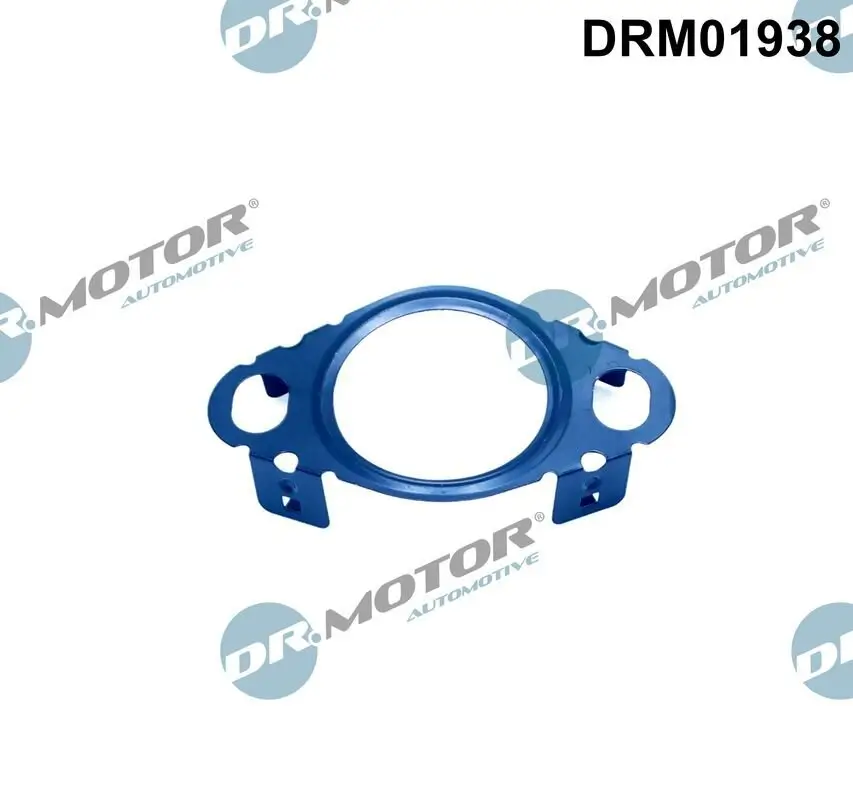 Dichtung, Leitung AGR-Ventil Dr.Motor Automotive DRM01938