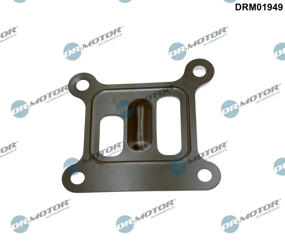 Dichtung, Wasserpumpe Dr.Motor Automotive DRM01949