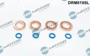 Dichtungssatz, Einspritzdüse Dr.Motor Automotive DRM019SL