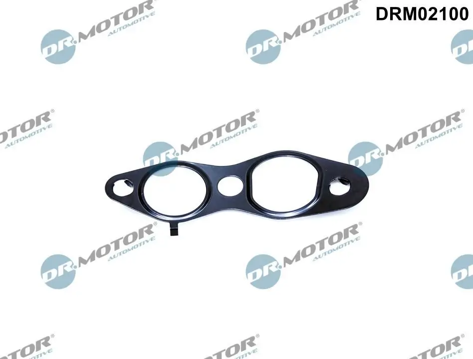 Dichtung, AGR-Ventil Dr.Motor Automotive DRM02100