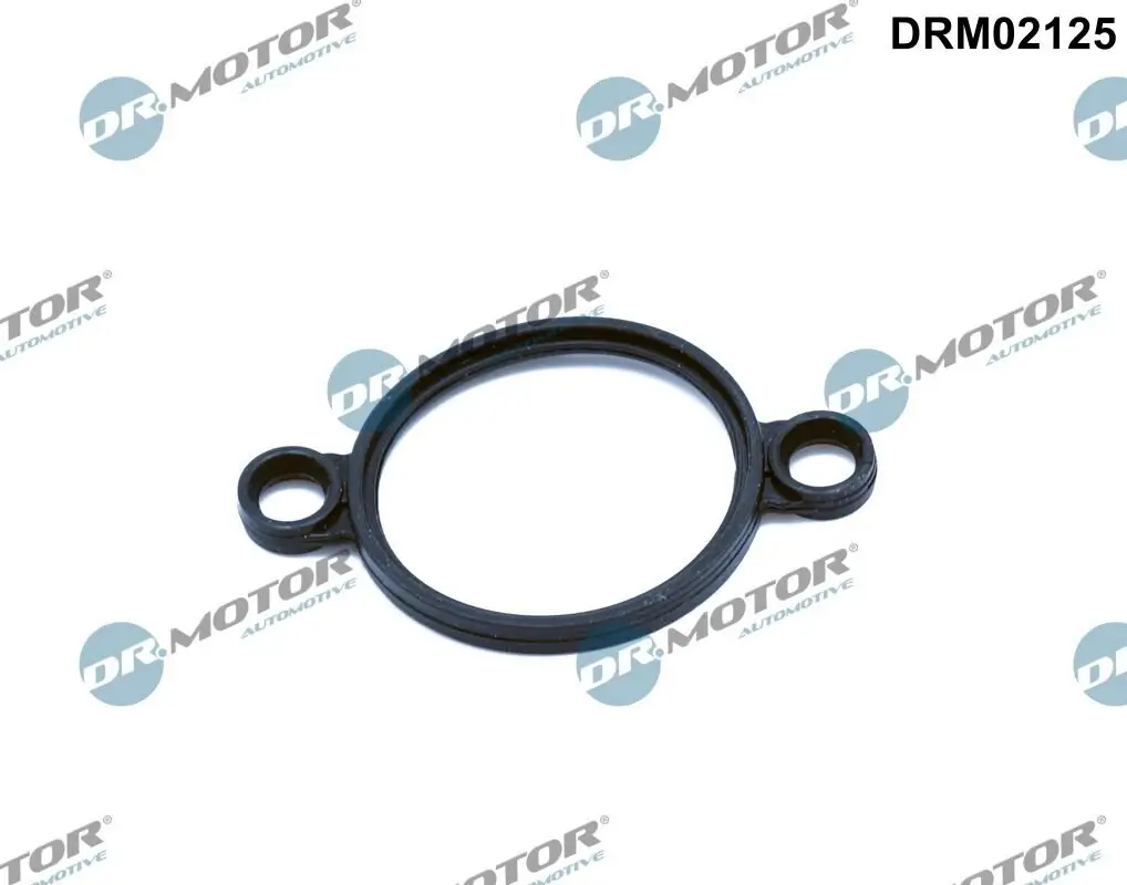 Dichtung, Stellelement (Exzenterwelle) Dr.Motor Automotive DRM02125