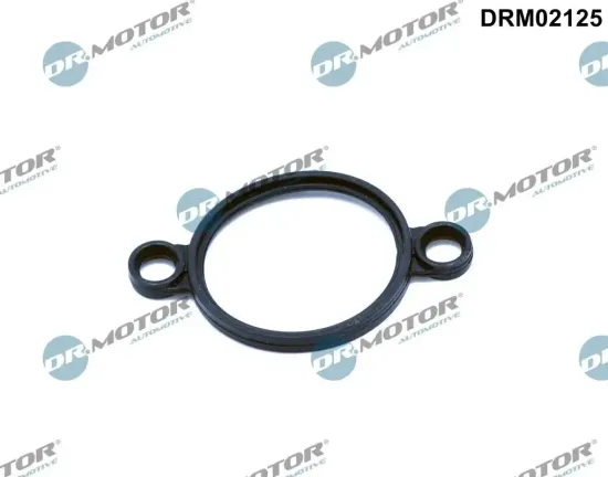 Dichtung, Stellelement (Exzenterwelle) Dr.Motor Automotive DRM02125 Bild Dichtung, Stellelement (Exzenterwelle) Dr.Motor Automotive DRM02125