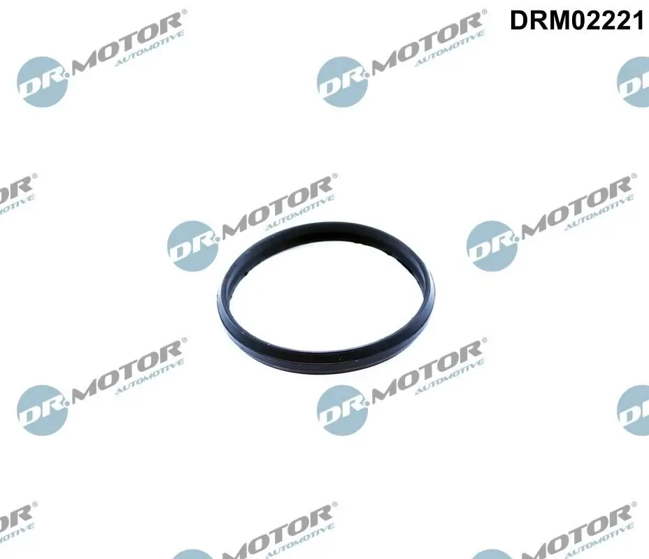 Dichtung, Steuerkettenspanner Dr.Motor Automotive DRM02221