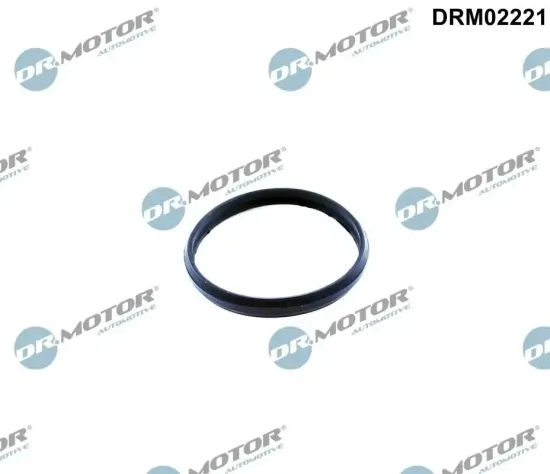 Dichtung, Steuerkettenspanner Dr.Motor Automotive DRM02221 Bild Dichtung, Steuerkettenspanner Dr.Motor Automotive DRM02221