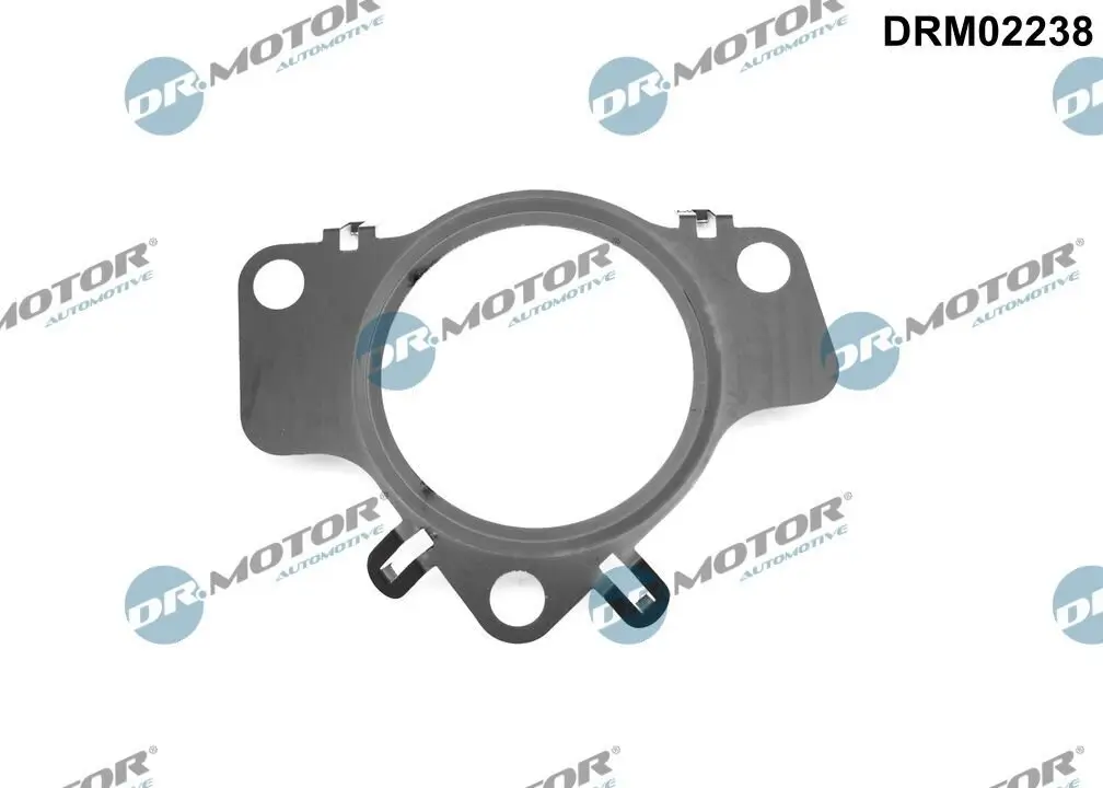 Dichtung, Lader Dr.Motor Automotive DRM02238