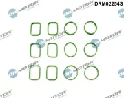 Dichtungssatz, Ansaugkrümmer Dr.Motor Automotive DRM02254S