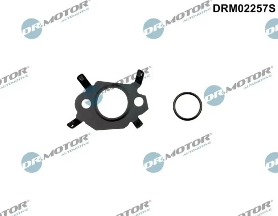 Dichtungssatz, AGR-System Dr.Motor Automotive DRM02257S Bild Dichtungssatz, AGR-System Dr.Motor Automotive DRM02257S