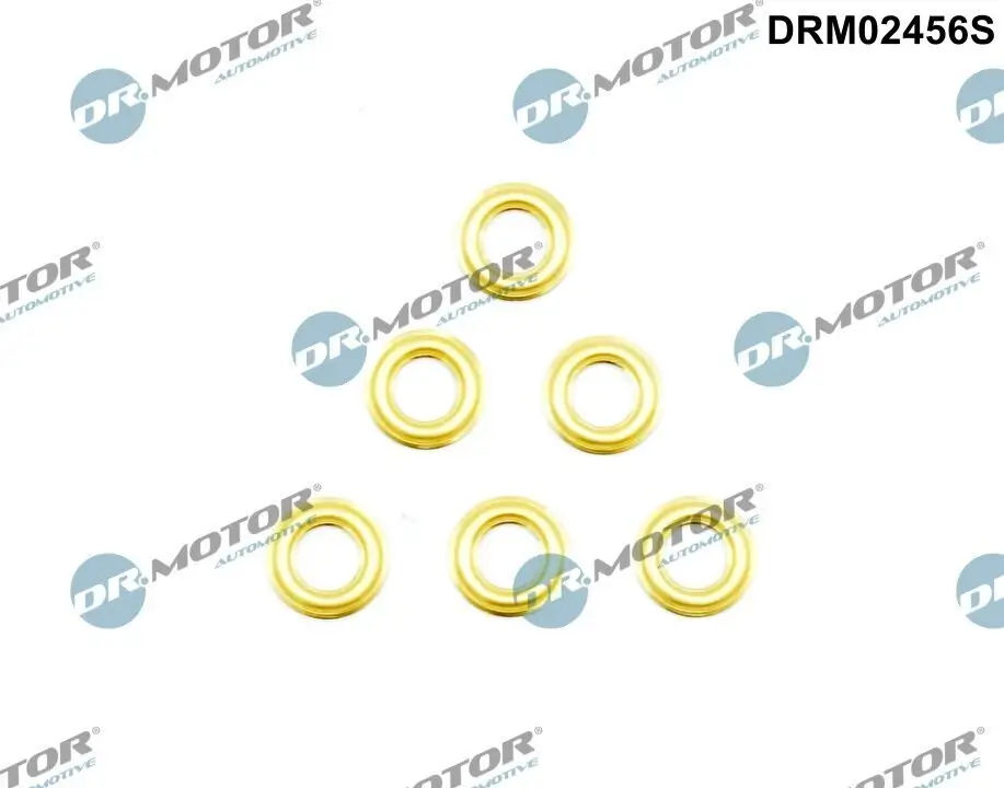 Wärmeschutzscheibe, Einspritzanlage Dr.Motor Automotive DRM02456S