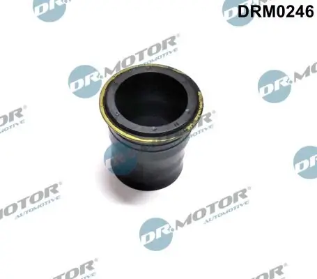 Dichtung, Düsenhalter Dr.Motor Automotive DRM0246 Bild Dichtung, Düsenhalter Dr.Motor Automotive DRM0246