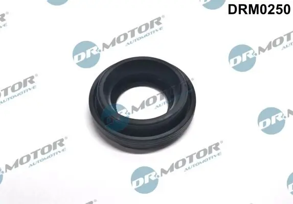 Dichtung, Düsenhalter Dr.Motor Automotive DRM0250