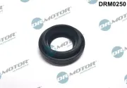 Dichtung, Düsenhalter Dr.Motor Automotive DRM0250