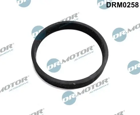 Dichtung, Turbineneinlass (Lader) Dr.Motor Automotive DRM0258