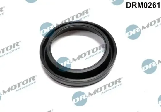 Dichtung, Düsenhalter Dr.Motor Automotive DRM0261 Bild Dichtung, Düsenhalter Dr.Motor Automotive DRM0261