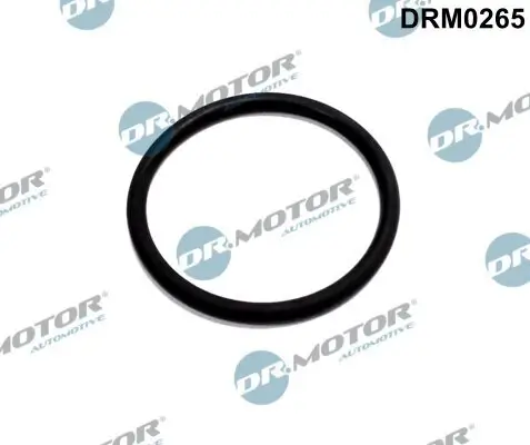 Dichtung, Leitung AGR-Ventil Dr.Motor Automotive DRM0265