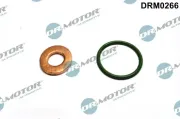 Dichtungssatz, Einspritzdüse Dr.Motor Automotive DRM0266