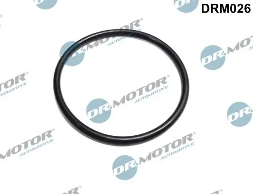 Dichtung, Drosselklappenstutzen Dr.Motor Automotive DRM026