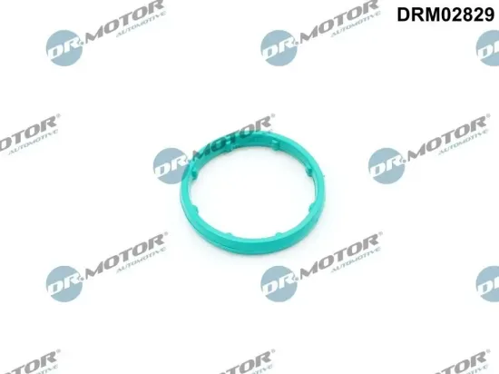 Dichtung, Ölkühler Dr.Motor Automotive DRM02829 Bild Dichtung, Ölkühler Dr.Motor Automotive DRM02829