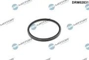 Wellendichtring, Kurbelwelle Dr.Motor Automotive DRM02831