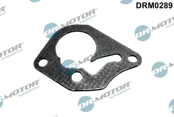 Dichtung, Unterdruckpumpe Dr.Motor Automotive DRM0289