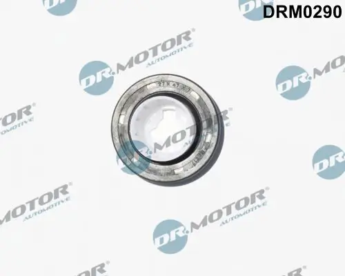 Wellendichtring, Nockenwelle stirnseitig Dr.Motor Automotive DRM0290 Bild Wellendichtring, Nockenwelle stirnseitig Dr.Motor Automotive DRM0290