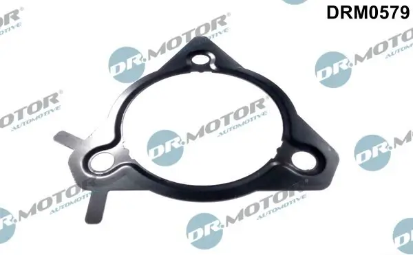 Dichtung, Einspritzpumpe Dr.Motor Automotive DRM0579