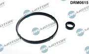 Dichtungssatz, Ölkühler Dr.Motor Automotive DRM0615