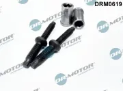 Schraube, Einspritzdüsenhalter Dr.Motor Automotive DRM0619