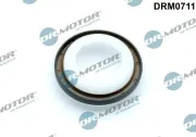 Wellendichtring, Kurbelwelle Dr.Motor Automotive DRM0711