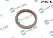 Wellendichtring, Kurbelwelle Dr.Motor Automotive DRM0713