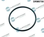 Dichtung, Drosselklappenstutzen Dr.Motor Automotive DRM0750