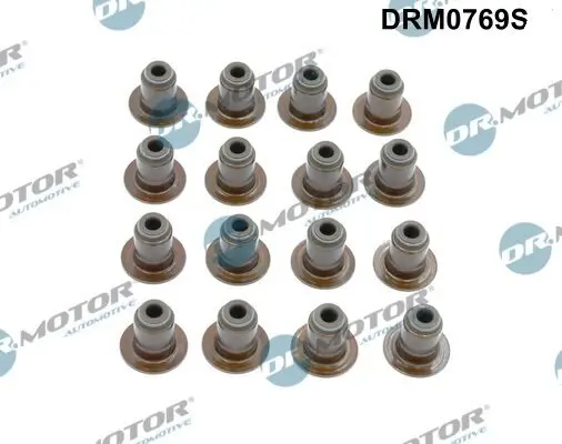 Dichtungssatz, Ventilschaft Dr.Motor Automotive DRM0769S