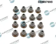 Dichtungssatz, Ventilschaft Dr.Motor Automotive DRM0769S