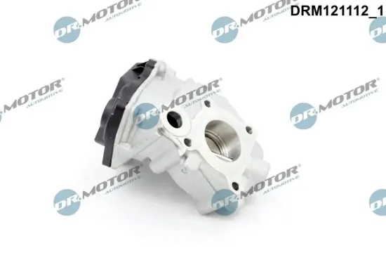 AGR-Ventil Dr.Motor Automotive DRM121112 Bild AGR-Ventil Dr.Motor Automotive DRM121112