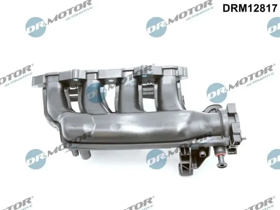 Saugrohrmodul Dr.Motor Automotive DRM12817 Bild Saugrohrmodul Dr.Motor Automotive DRM12817