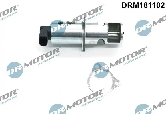 AGR-Ventil 12 V Dr.Motor Automotive DRM181102