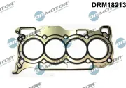 Dichtung, Zylinderkopf Dr.Motor Automotive DRM18213