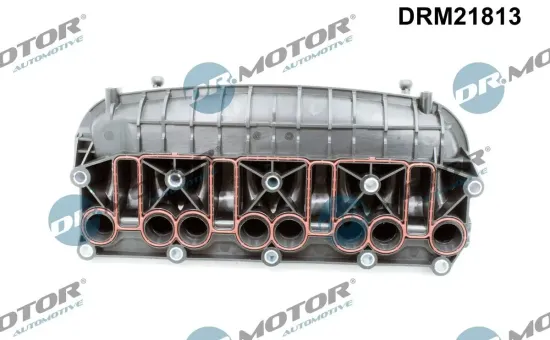 Saugrohrmodul Dr.Motor Automotive DRM21813 Bild Saugrohrmodul Dr.Motor Automotive DRM21813