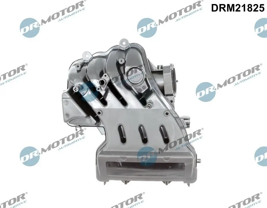 Saugrohrmodul Dr.Motor Automotive DRM21825