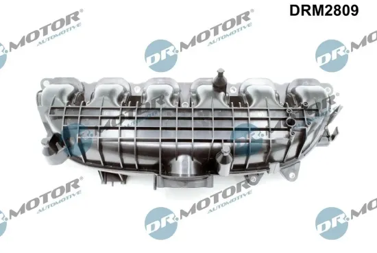 Saugrohrmodul Dr.Motor Automotive DRM2809 Bild Saugrohrmodul Dr.Motor Automotive DRM2809