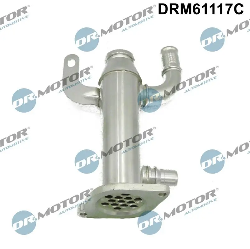 Kühler, Abgasrückführung Dr.Motor Automotive DRM61117C