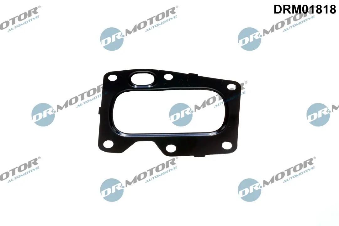 Dichtung, AGR-Ventil Dr.Motor Automotive DRM01818