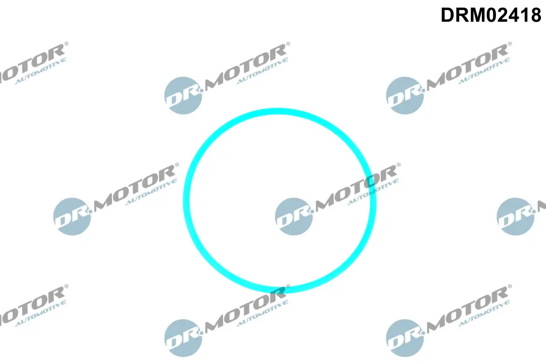 Dichtung, Kraftstoffpumpe Dr.Motor Automotive DRM02418