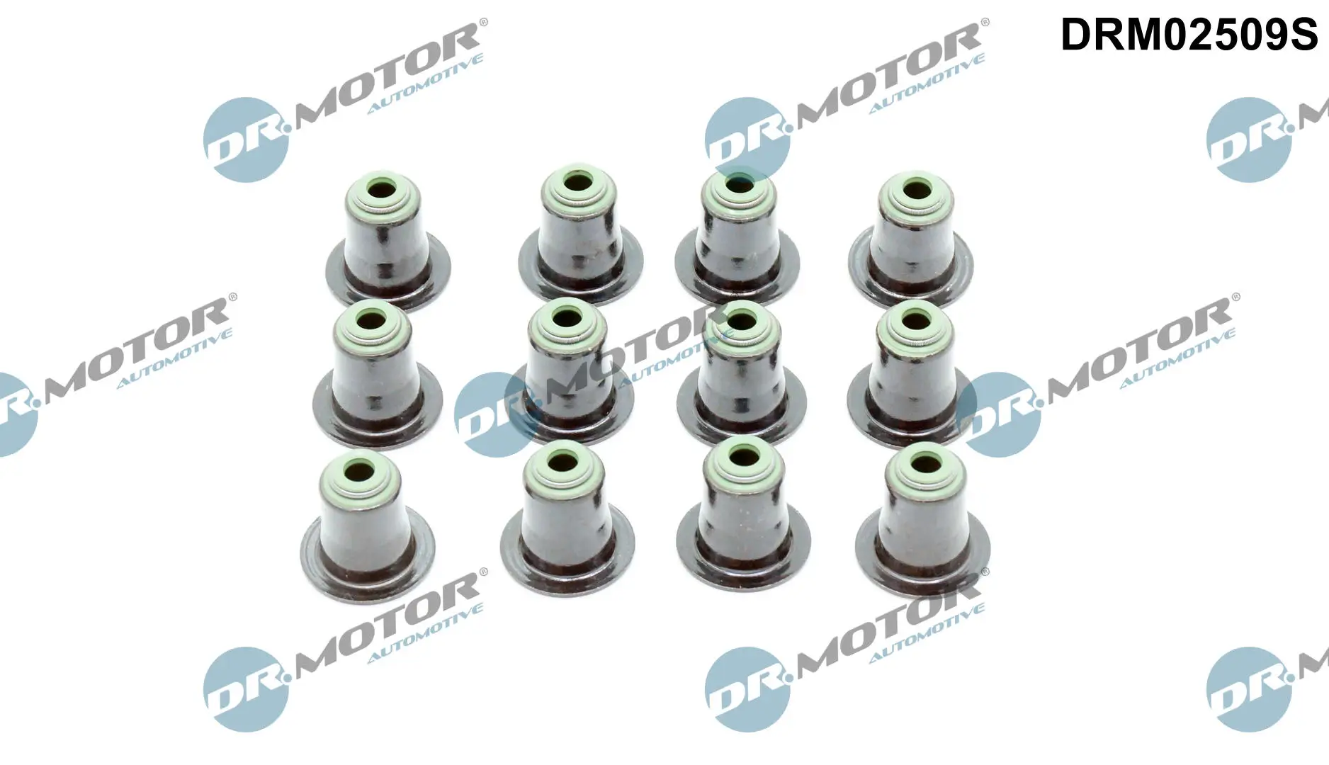 Dichtungssatz, Ventilschaft Dr.Motor Automotive DRM02509S